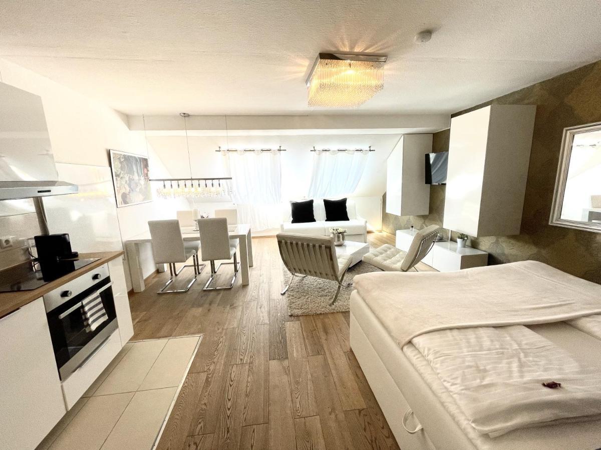 Apartmán Luxus Penthouse Whiterussian Freiburg im Breisgau Exteriér fotografie