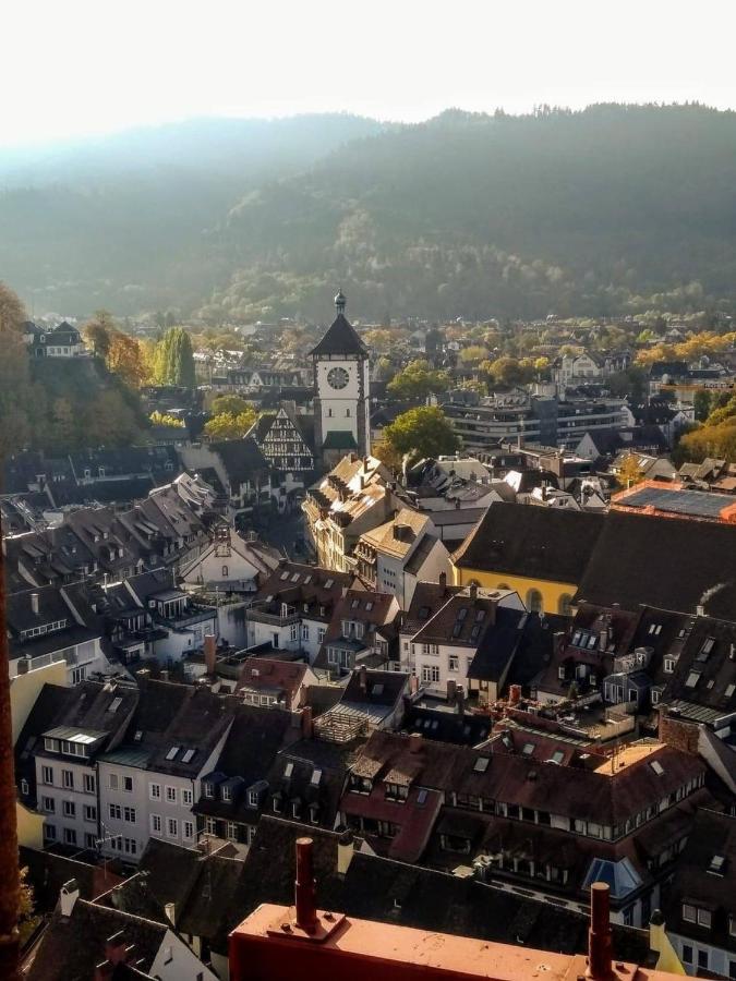 Apartmán Luxus Penthouse Whiterussian Freiburg im Breisgau Exteriér fotografie